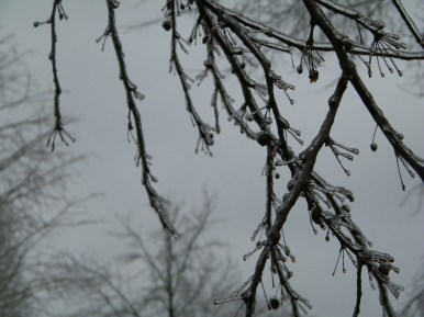 2010-01-30 09.45.08 1