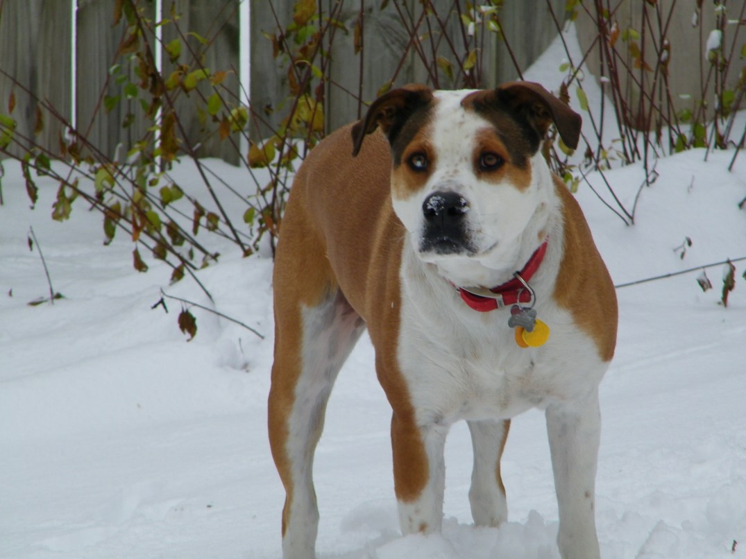 2011-01-10 10.09.04 1